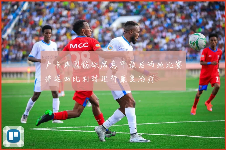 卢卡库因伤缺席意甲最后两轮比赛将返回比利时进行康复治疗